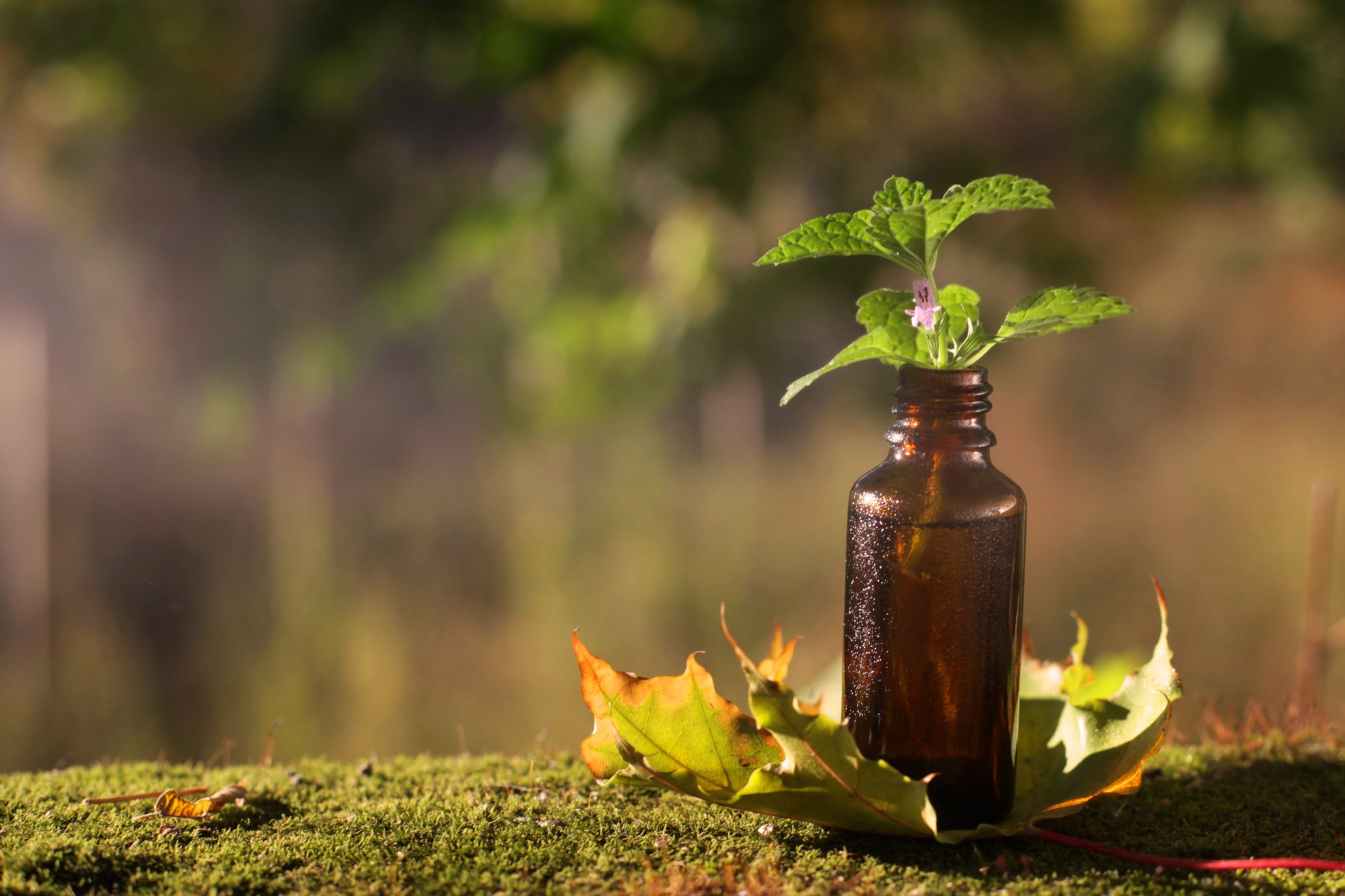 Natural Medicine in Bottle